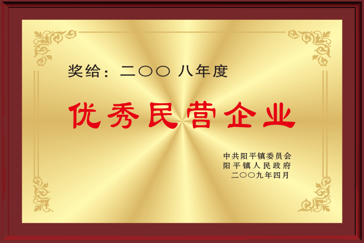 2008优秀民营企业