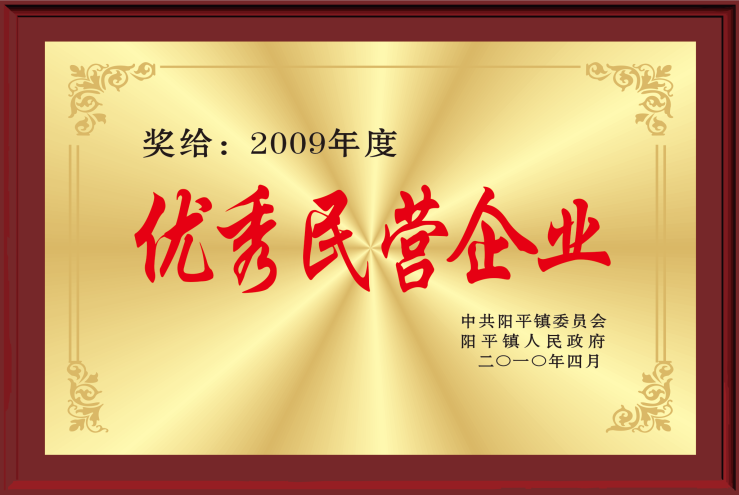 2009年度优秀民营企业